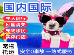 琼海航空货运国际宠物托运 【国